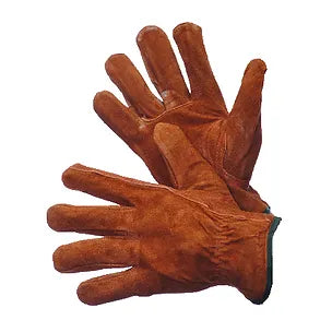 Suede Driver Glove